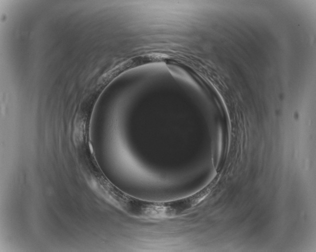 X0000086090227200703231438