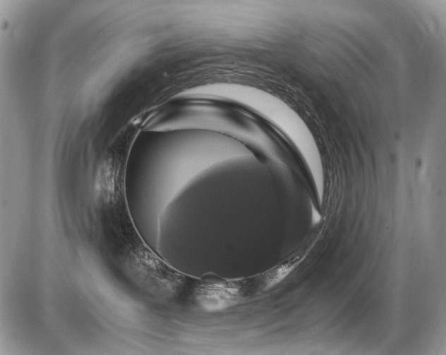 X0000086090239200703231438