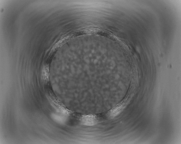 X0000086090240200703231438