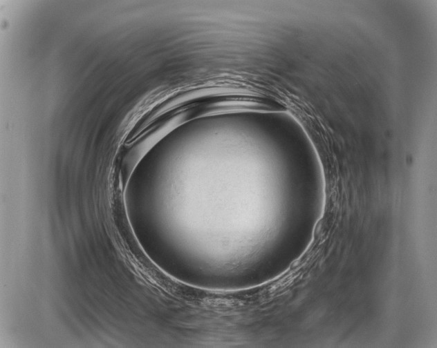 X0000086090242200703231437