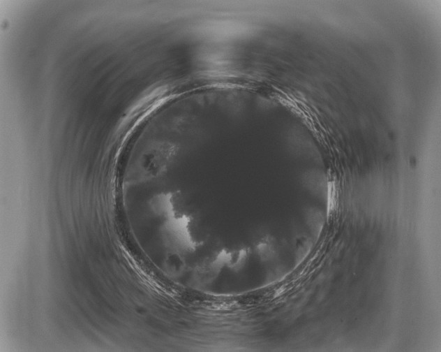 X0000086090243200703231437
