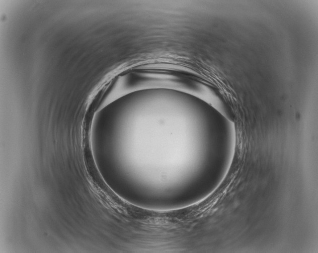 X0000086090244200703231437