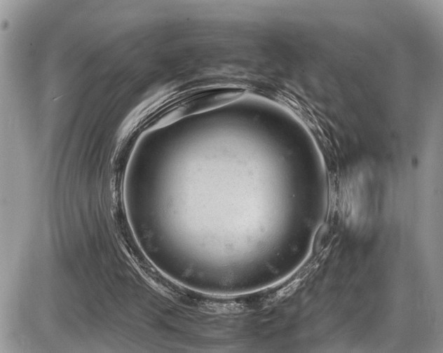 X0000086090245200703231437