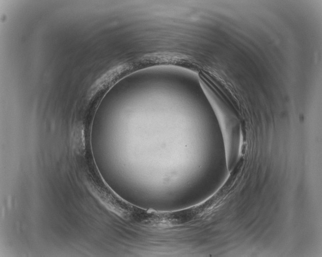 X0000086090254200703231437