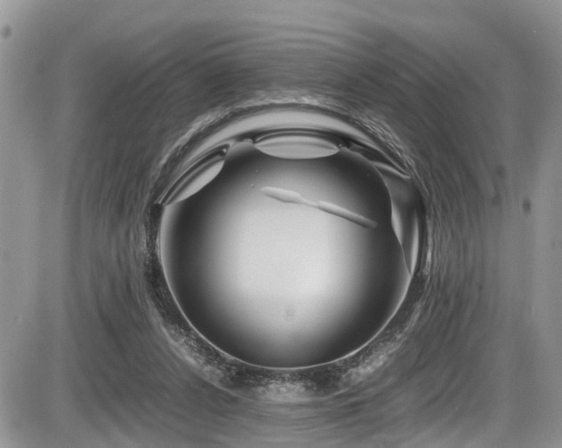 X0000086090256200703231437