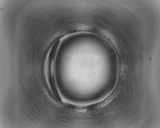 X0000086090257200703231437