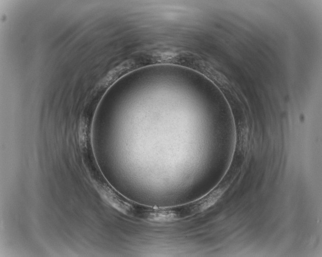 X0000086090274200703231438