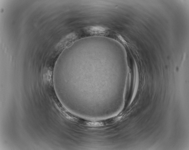 X0000086090281200703231438