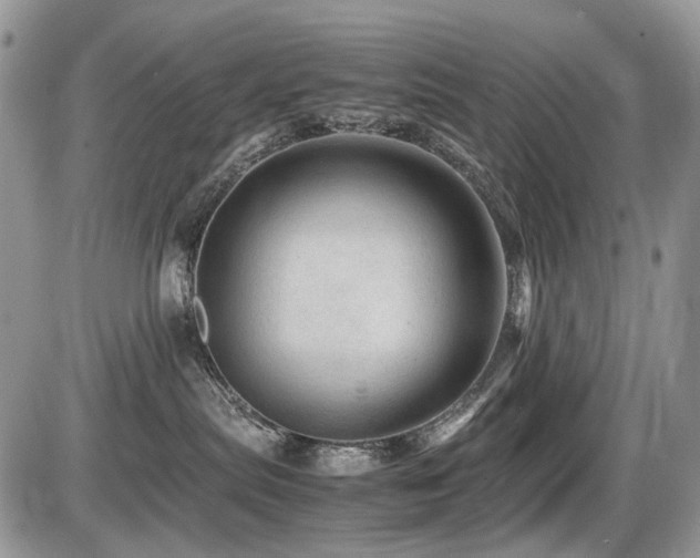 X0000086090287200703231438