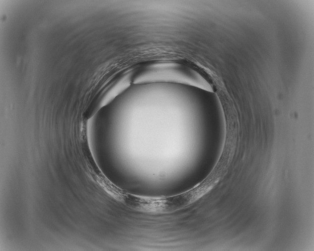 X0000086090288200703231438