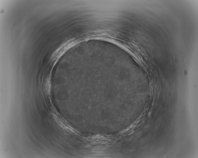 X0000086090290200703231437