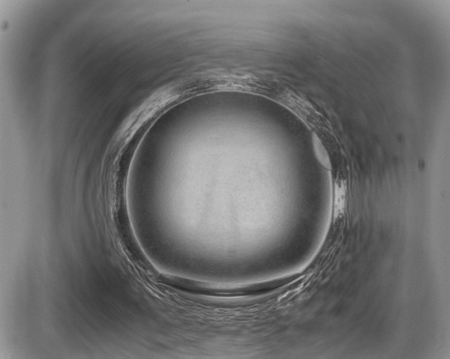 X0000086090291200703231437