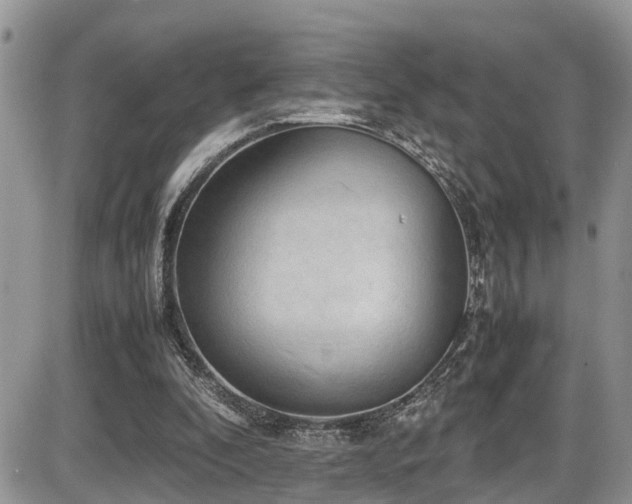 X0000086090296200703231437