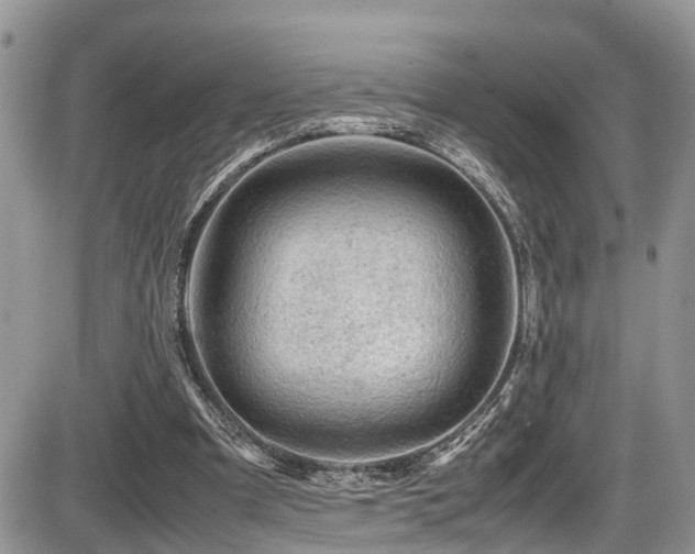 X0000086090297200703231437