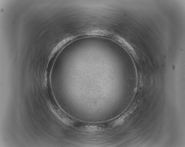 X0000086090298200703231437