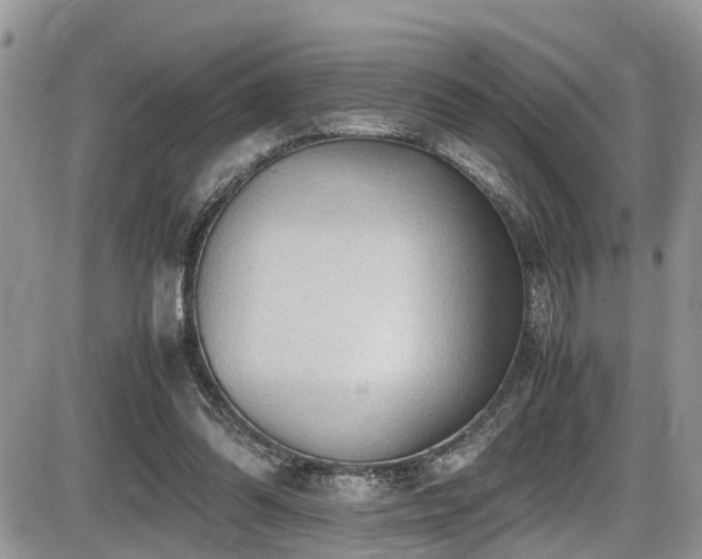 X0000086090302200703231437