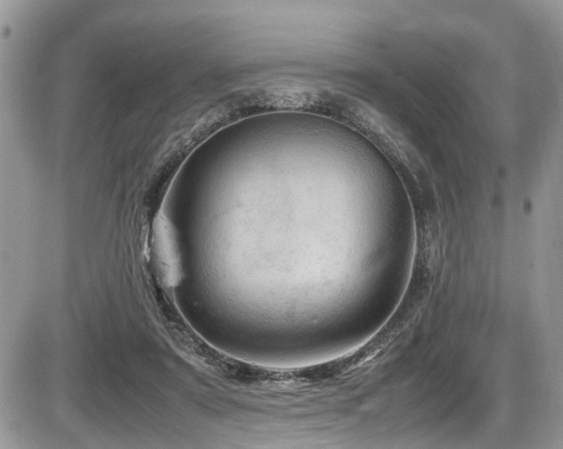 X0000086090307200703231437