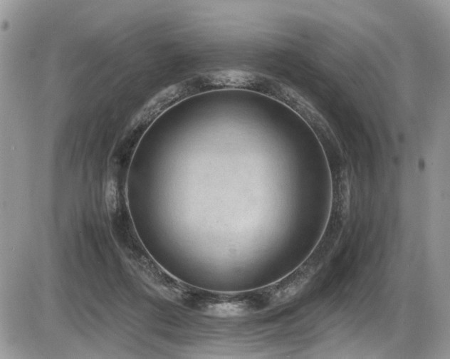X0000086090312200703231437