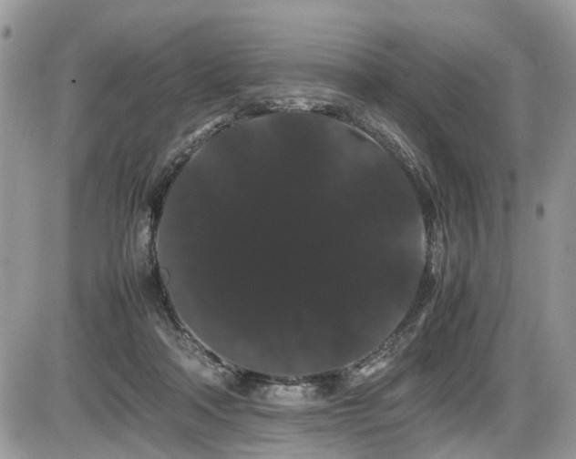 X0000086090314200703231437