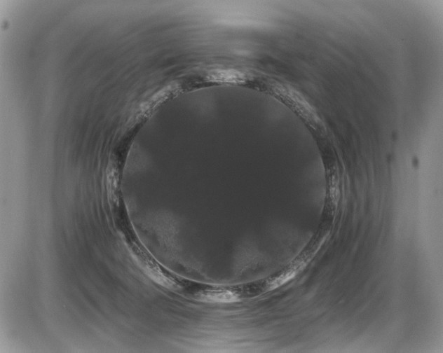 X0000086090322200703231437