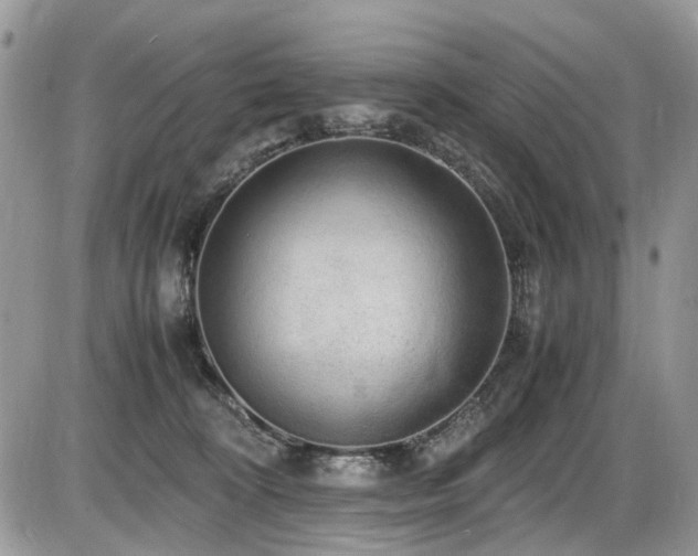 X0000086090324200703231437