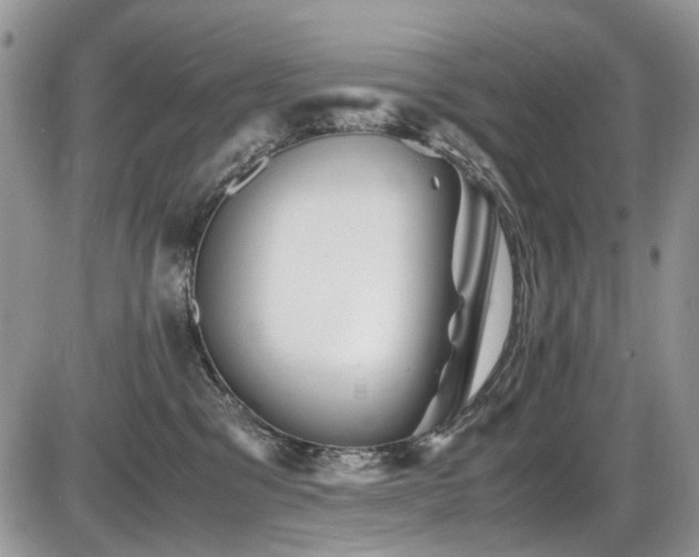 X0000086090329200703231437