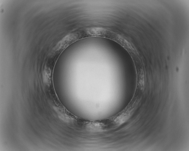 X0000086090332200703231436