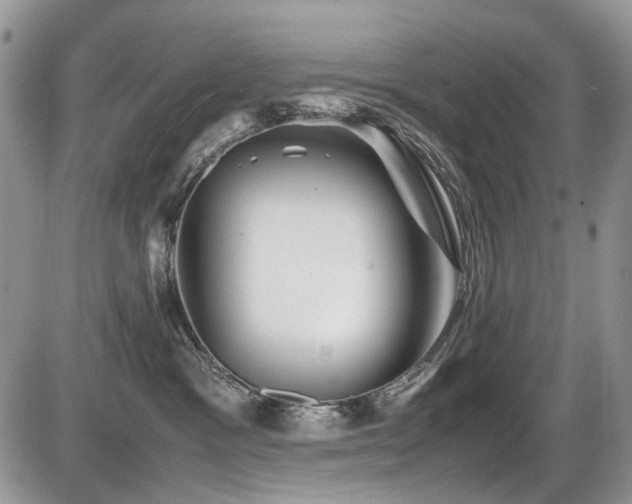 X0000086090333200703231436