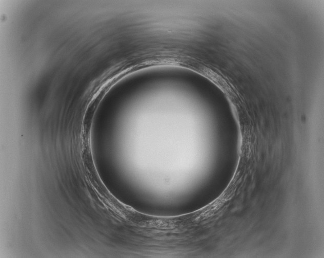 X0000086090338200703231436