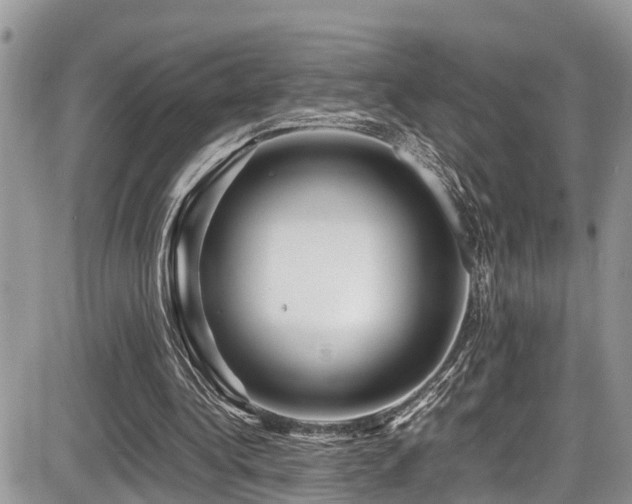 X0000086090340200703231436