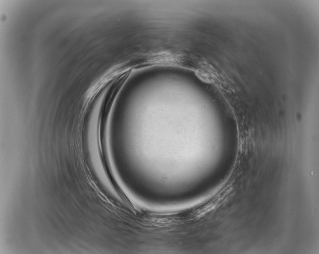 X0000086090341200703231436
