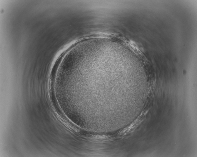 X0000086090342200703231436