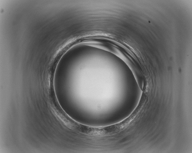 X0000086090350200703231436