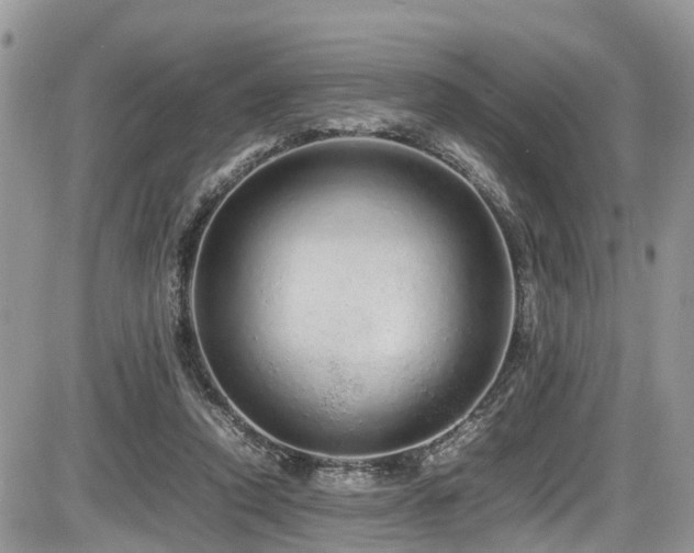 X0000086090354200703231436