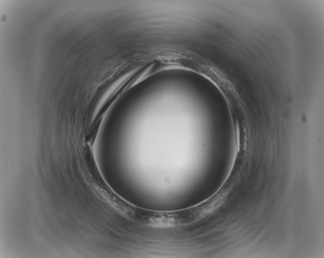 X0000086090362200703231436