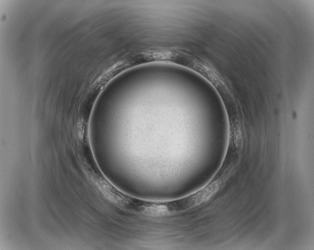 X0000086090374200703231436