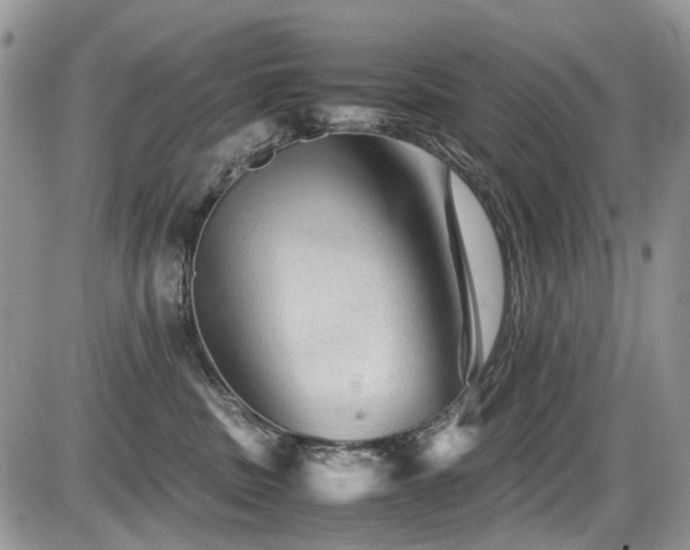 X0000086090379200703231436