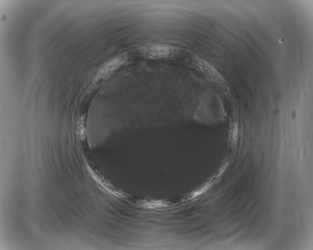 X0000086090383200703231436