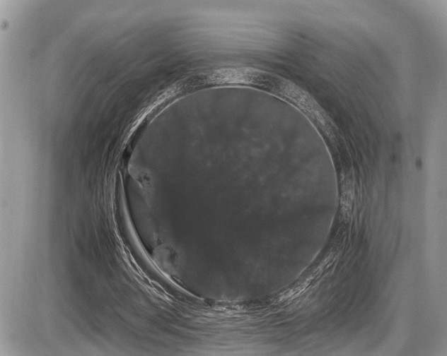 X0000086090386200703231436