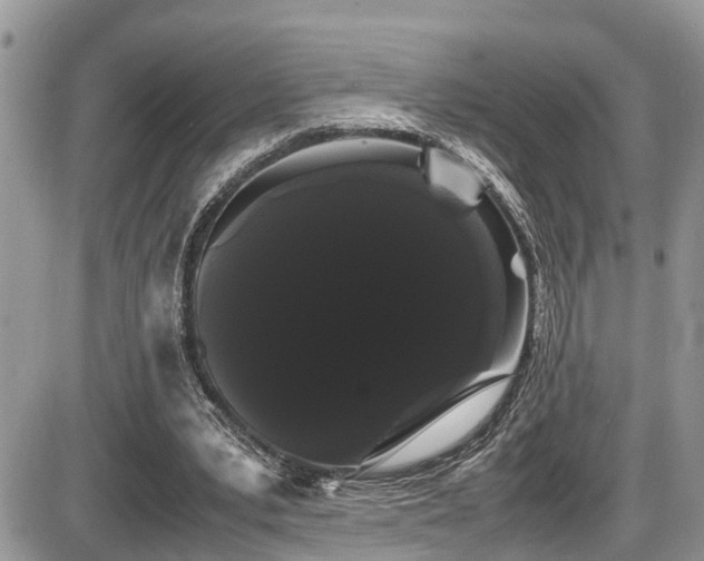 X0000086090391200703231436
