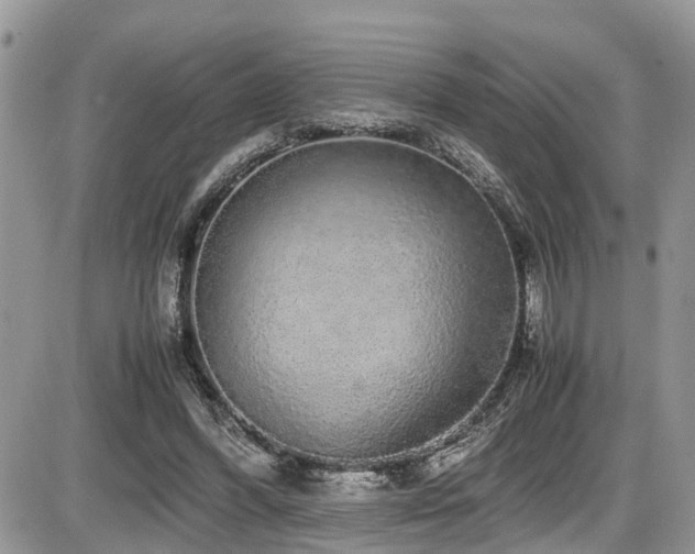X0000086090396200703231435