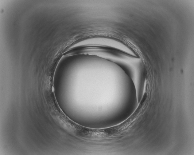 X0000086090401200703231435