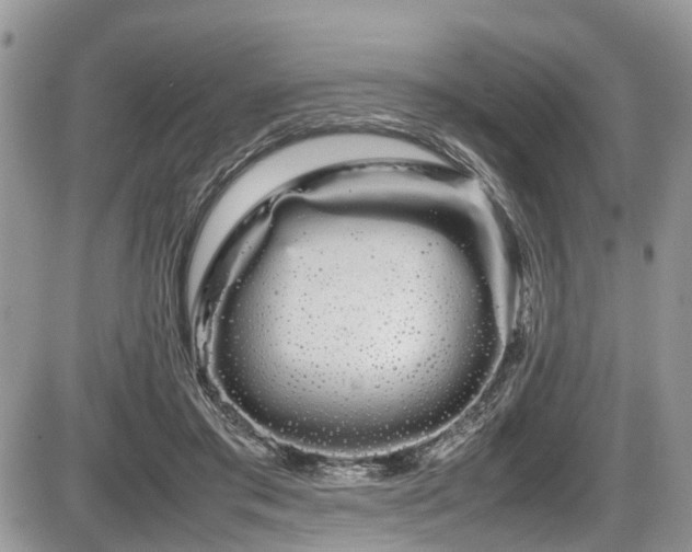 X0000086090405200703231435
