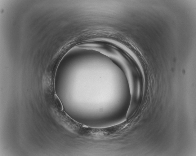 X0000086090407200703231435