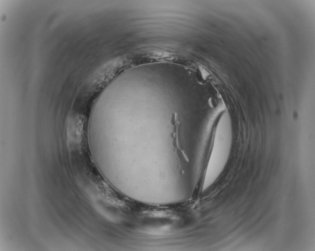 X0000086090412200703231435
