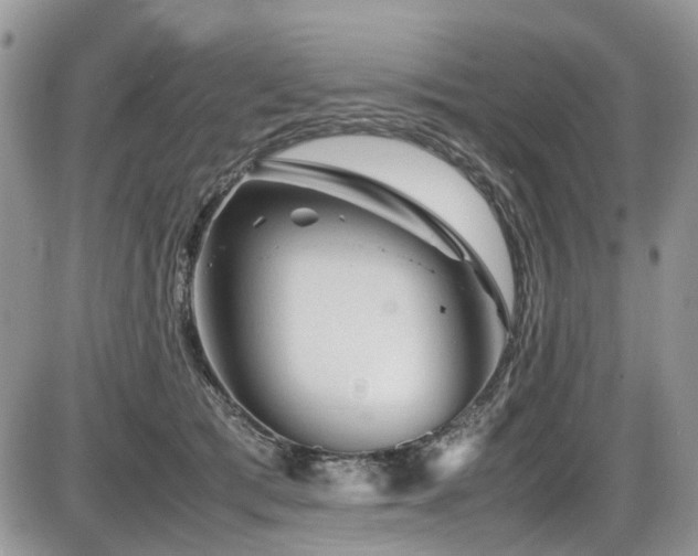 X0000086090417200703231435
