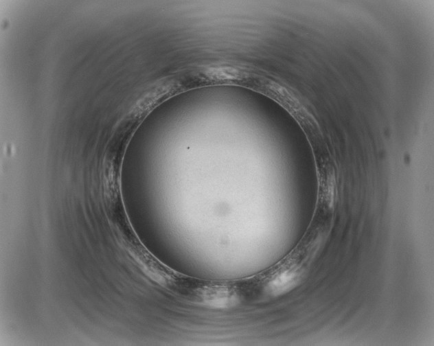 X0000086090418200703231435