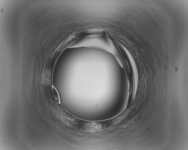 X0000086090421200703231435