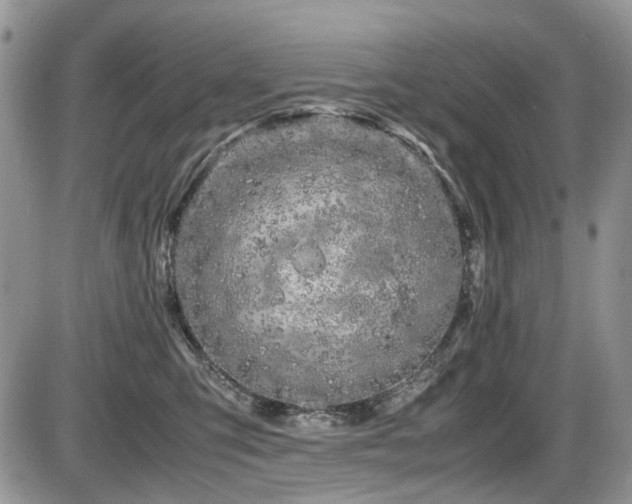 X0000086090423200703231435