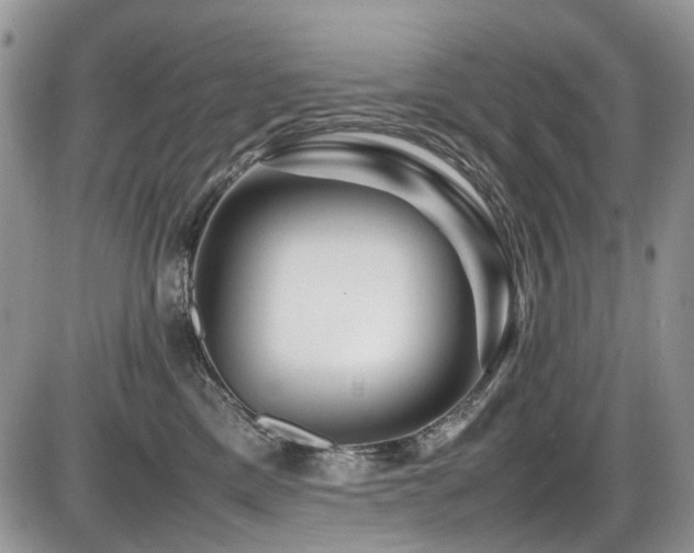 X0000086090425200703231435